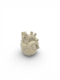 Anatomical Heart Planter
