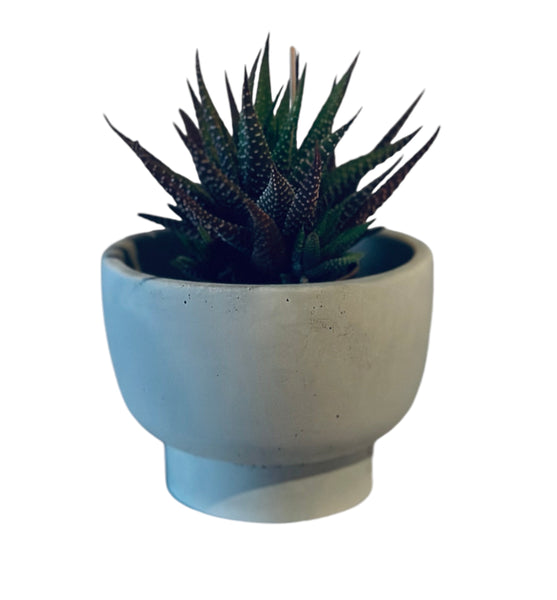 Pedestal Planter / Smudge Bowl | ws