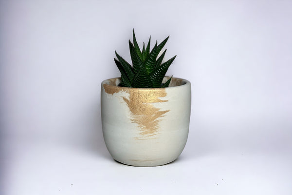 Gold Fusion Concrete Planter 4” | ws