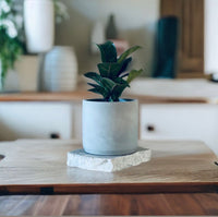 Beveled Concrete Planter