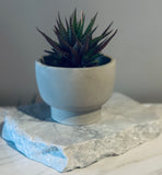 Pedestal Planter / Smudge Bowl | ws