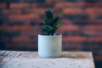 Beveled Concrete Planter