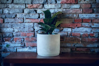 Beveled Concrete Planter | WS