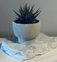 Pedestal Planter / Smudge Bowl