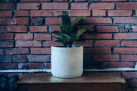 Beveled Concrete Planter