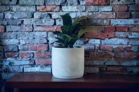 Beveled Concrete Planter