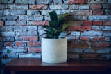 Beveled Concrete Planter