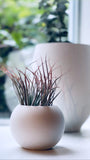 Concrete Globe Planter | ws