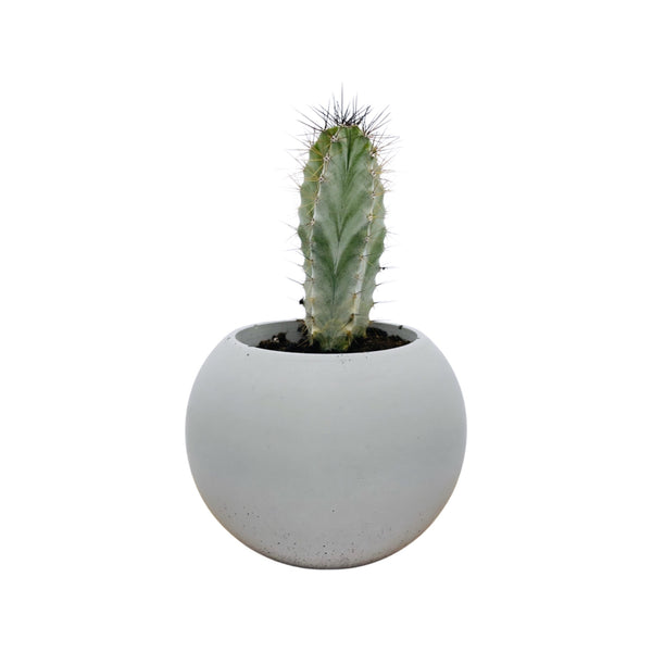 Concrete Globe Planter | ws