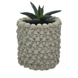 Skull Planter