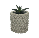 Skull Planter | ws