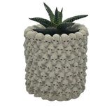 Skull Planter | ws