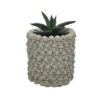 Skull Planter